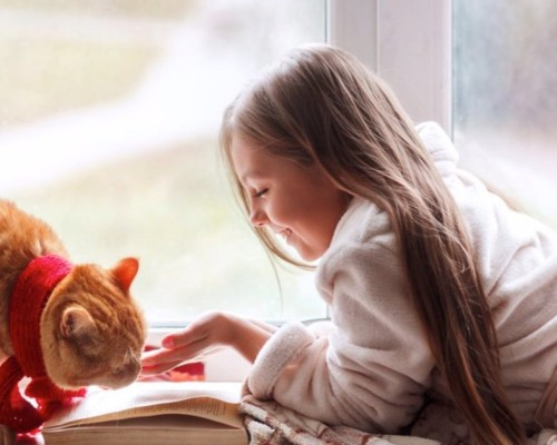 Cele mai interesante fapte pe care un copil ar trebui sa le cunoasca despre pisici
